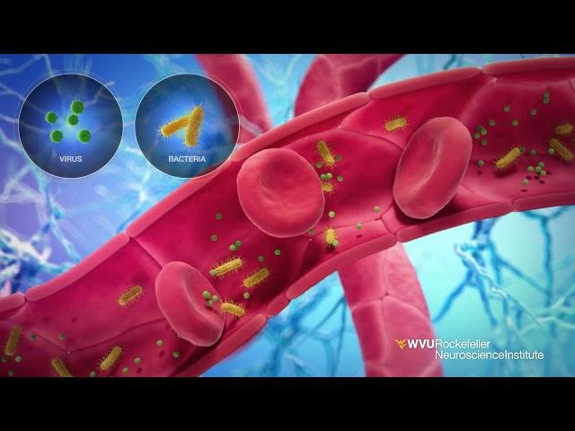 WVU Rockefeller Neuroscience Institute – Using Focused Ultrasound for Treating Alzheimer’s Disease