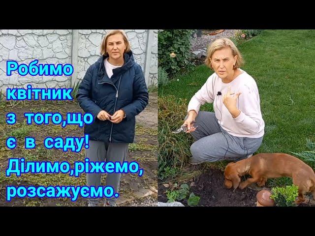 КВІТНИК з НУЛЯ за КОПІЙКИ все,що було в саду#квіти#цветы#квітники#ландшафтнийдизайн#плануємоквітник