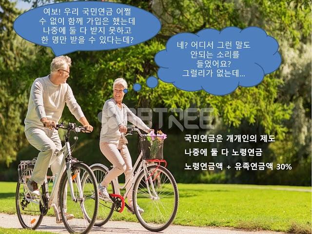 부부연금
