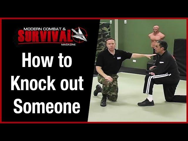 How To Knock Someone Out With One Punch To The Head