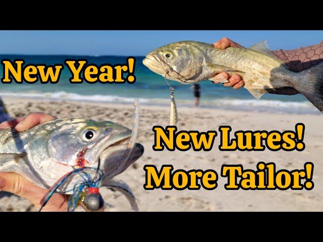 Starting the Year In the Best Way! New Lures and more Tailor!