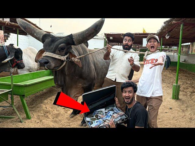 SYED FAHAD VS VAMPIRE TAKES REVENGE FOR 1 LAKH!