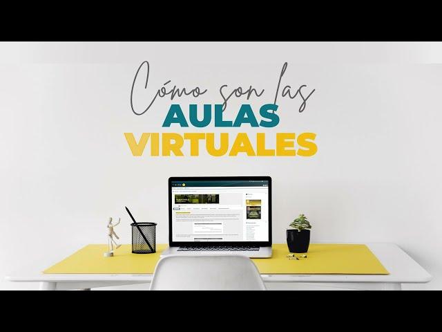 Cómo son las Aulas Virtuales