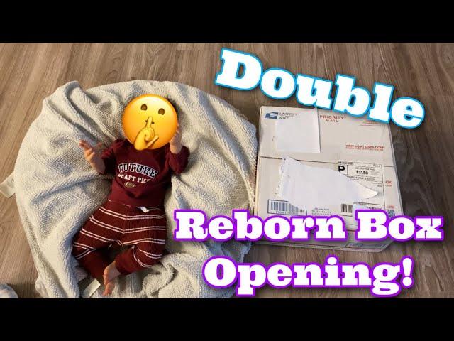 Rare SOLE Double Reborn Baby Box Opening! | Mya Reborns