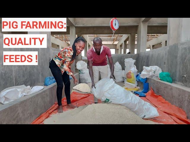 How To MAKE BEST QUALITY PIG FEEDS CHEAPLY!