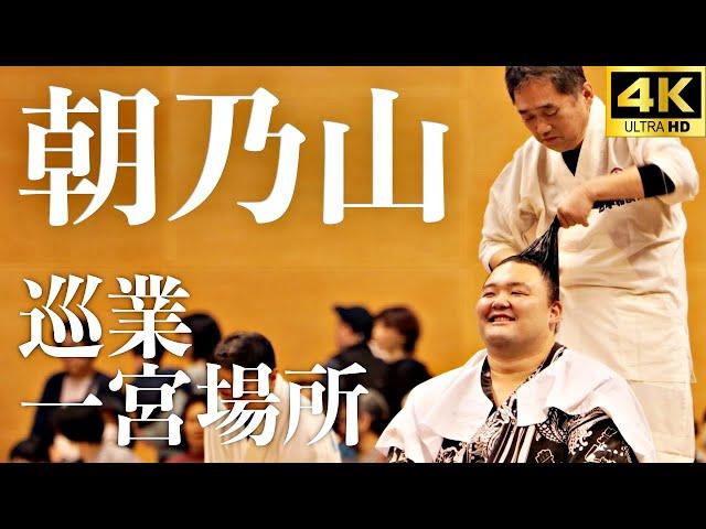 【巡業 一宮場所】朝乃山の髪結実演。詳細字幕あり。意外と知らない床山の世界【大相撲 sumo】