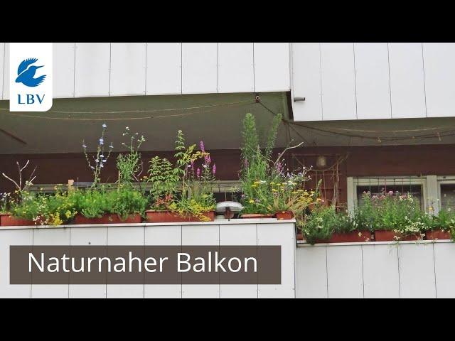 Naturnaher Balkon - Inspirationen für Dich