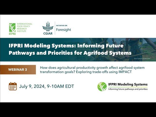 How does agricultural productivity growth affect agrifood system transformation goals?