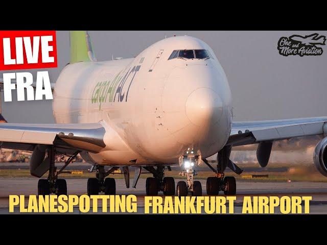 Live Sunset Planespotting Frankfurt Airport | Endspurt für die LH1342 