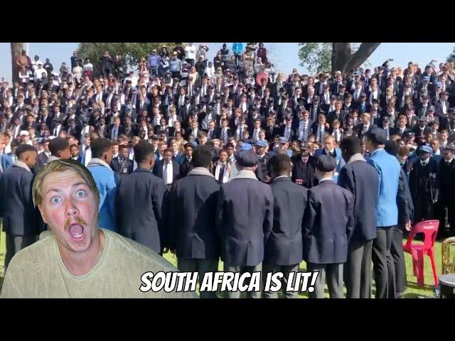 These Schools are LIT! Reaction to Best South African School Warcries