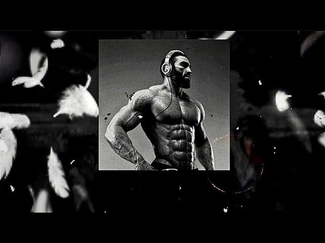 AGGRESSIVE BRAZILIAN PHONK AUDIOS. (AGGRESSIVE,GYM, RUNNING,FUNK PLAYLIST) #4