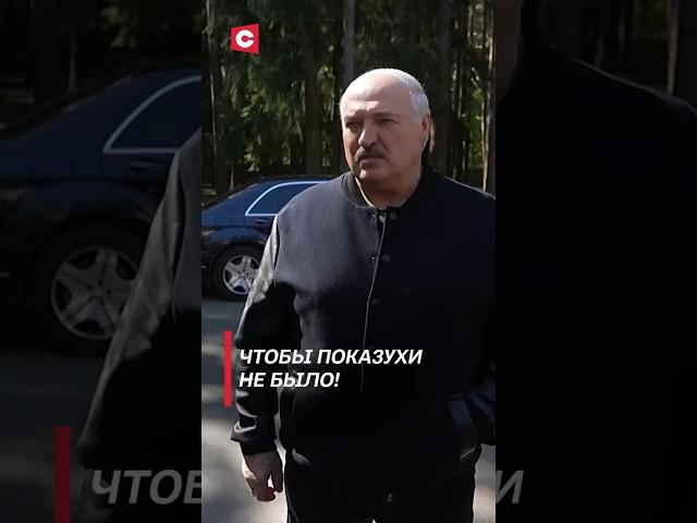 Лукашенко: Чтобы показухи не было! #shorts #лукашенко #новости