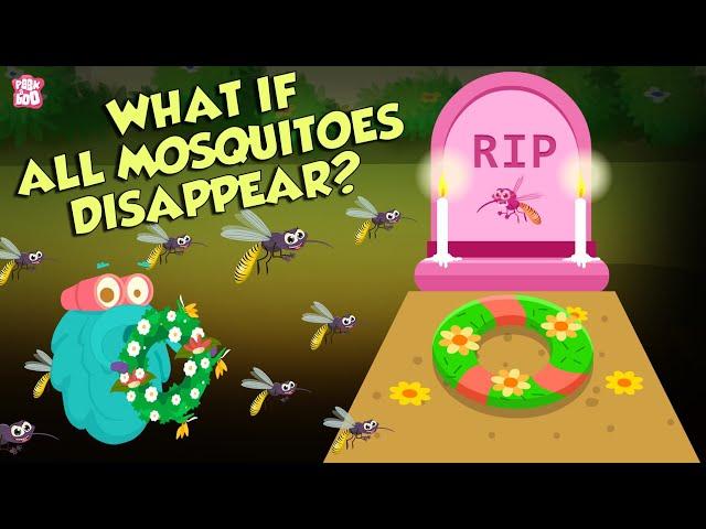 What If All Mosquitoes Disappear? | World Without MOSQUITOES | The Dr Binocs Show | Peekaboo Kidz