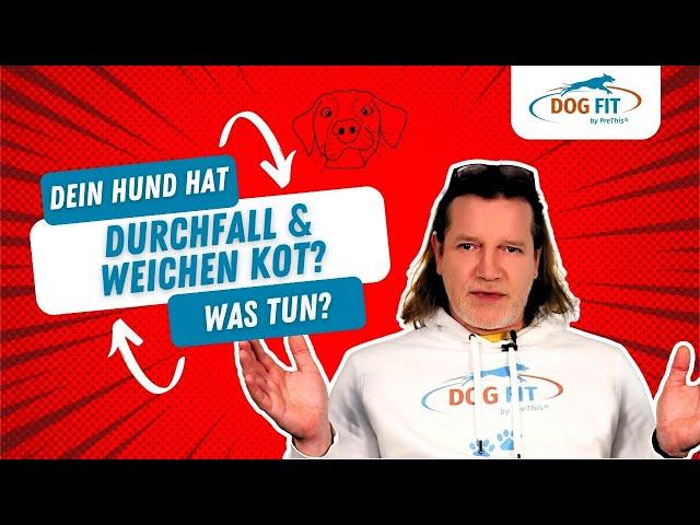 Durchfall & weicher Kot bei Hunden » Ursachen & Behandlung » DOG FIT by PreThis®