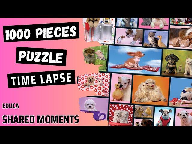 Solving Shared Moments 1000 Pieces | Educa Puzzle | Time Lapse