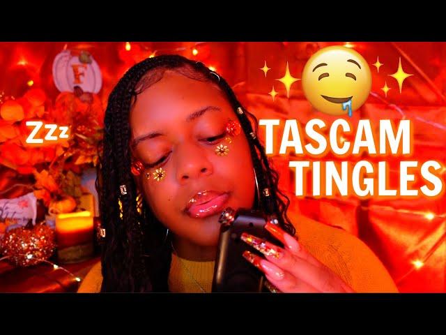 ASMR - INTENSE TASCAM TINGLES (EXTREME TINGLES DOWN YOUR SPINE!!)