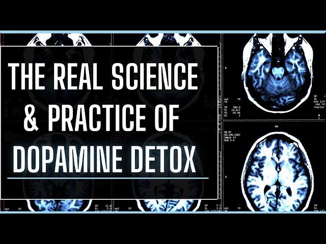 Dopamine Detox Examined - The Real Evidence-Based Practices Surrounding Dopamine & Motivation