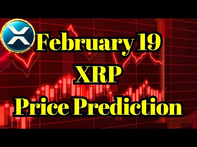 XRP News | XRP Price Prediction for February 19