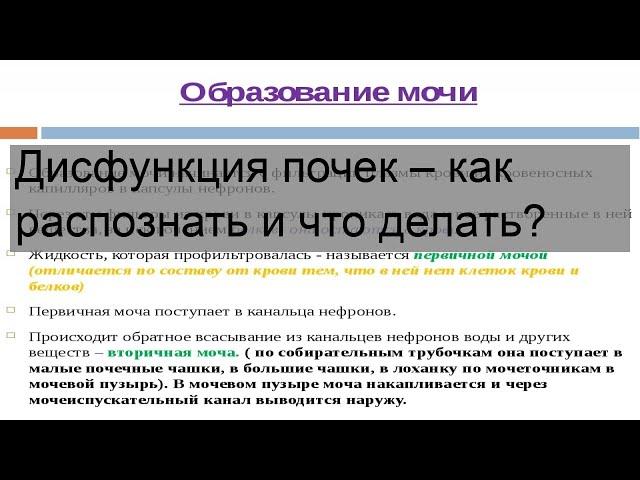 Дисфункция почек – как распознать и что делать?