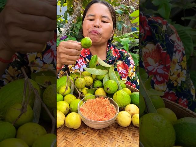 Yummy small guava #siscookingtv #fruit #mukbang #fruits #guavafruit