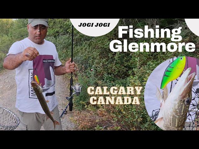 Glenmore Reservoir | Glenmore Fishing | Glenmore Park Calgary | South Glenmore Park | Calgary Canada