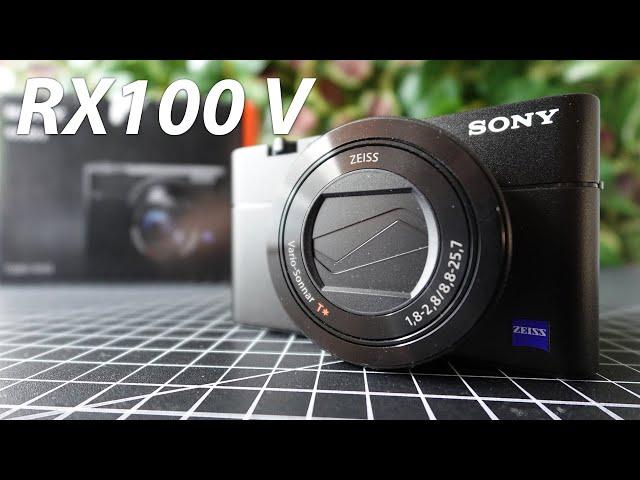 Sony DSC-RX100 V test video with zoom footage and sample images 2024