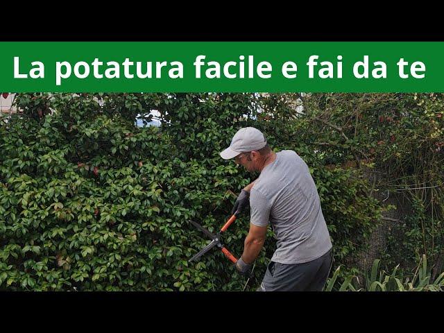 Fai da te: la Potatura facile