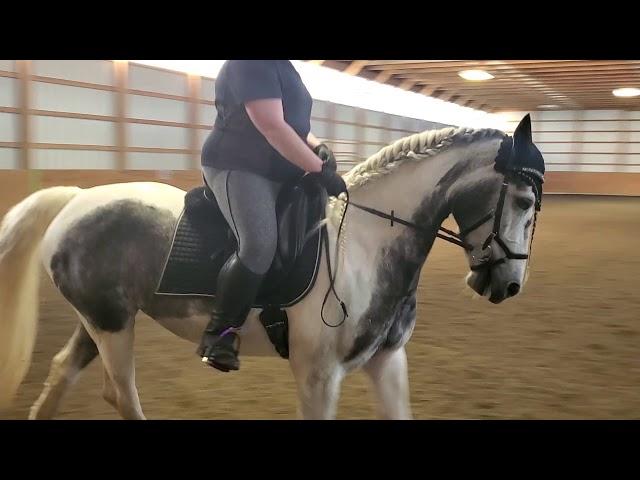 Chelsea Belcher & Aurora Borealis - Intro C - June 2020