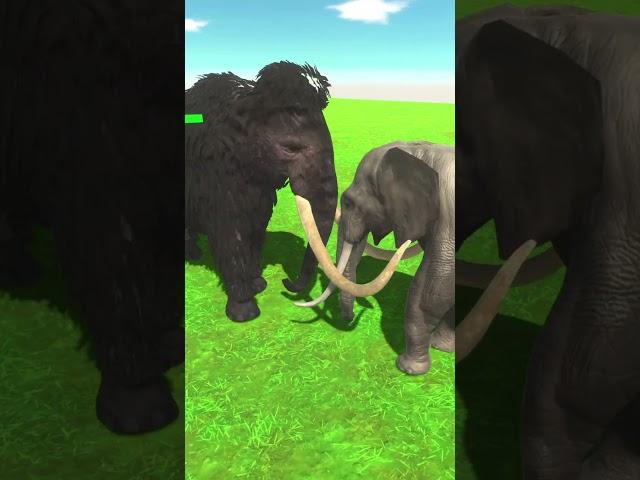 WOOLLY MAMMOTH VS ELEPHANT - NEW ARBS UNITS - Animal Revolt Battle Simulator