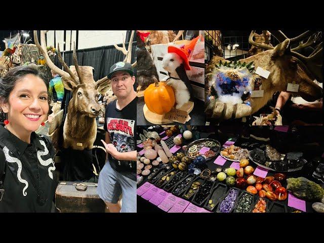 Oddities & Curiosities Expo 2023! Witchy Shopping, Weird Gift Ideas, & SO MUCH TAXIDERMY🫎