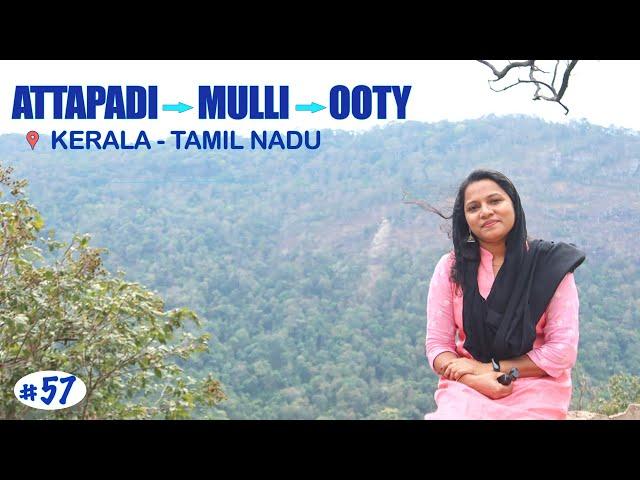 കോശി പറഞ്ഞ മുള്ളി വഴി ഊട്ടിക്ക് പോയപ്പോ || Attapadi Mulli Ooty Travel Route || Ooty ||Safnas Records