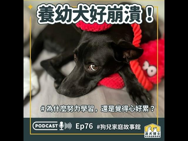 〈浪犬博士 x Faviana家〉 養幼犬好崩潰！為什麼努力學習，還是覺得心好累？｜S1Ep76