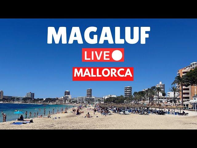 LIVE in Magaluf, Mallorca (Majorca)  | 22 June 2024