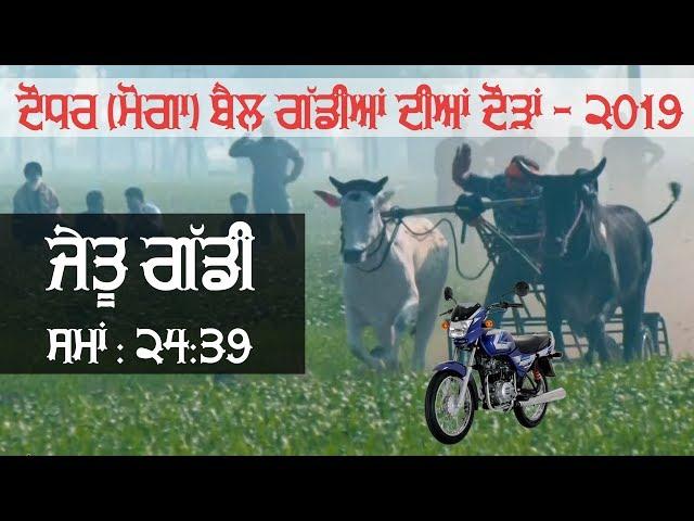 WINNER OXs PAIR || Time : 24.39 / 1100 Feet Distance || at DAUDHAR (Moga) OX RACES - 2019 | MALWA TV