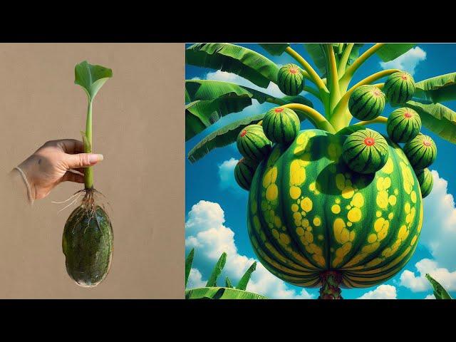 Special tips use watermelon for growing bananas quickly​ | Growing banana skill