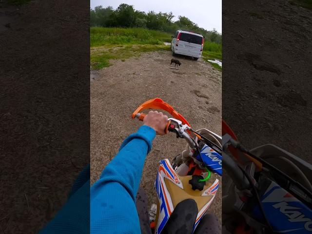 Хорошо в деревне летом с Эндуро. #bikelover #мото #мотожизнь #kayok1 #enduro