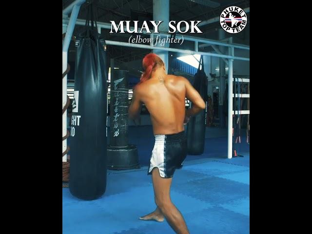 The different styles of Muay Thai