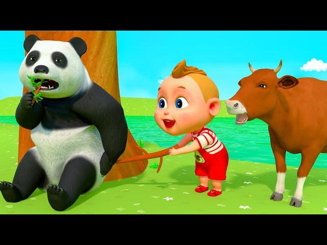 Hide And Seek Song - Animals Kids Songs | Super Sumo Nursery Rhymes & Kids Songs