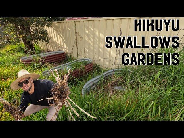 RESCUING VEGETABLE GARDENS & OVERGROWN YARD- NO MAINTENANCE IN 600 DAYS Pt3