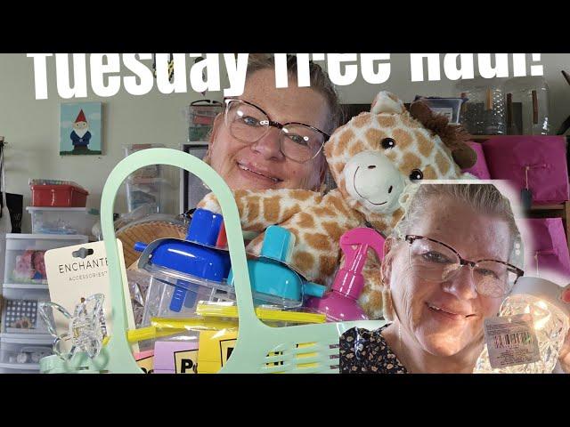 Tuesday Tree Haul!  6/25  #dollartree  #summer  #shopping