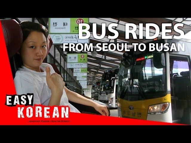 Express Bus Rides in Korea | Easy Korean 18