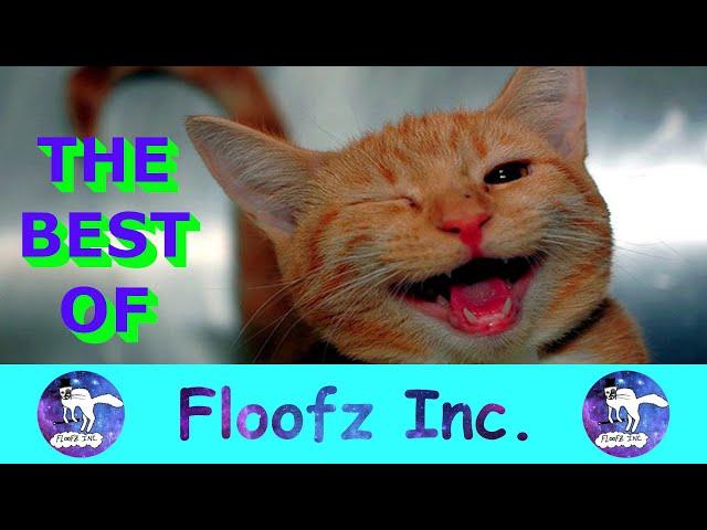 THE BEST OF FLOOFZ INC. LAST 60 VIDEOS I PART 1!