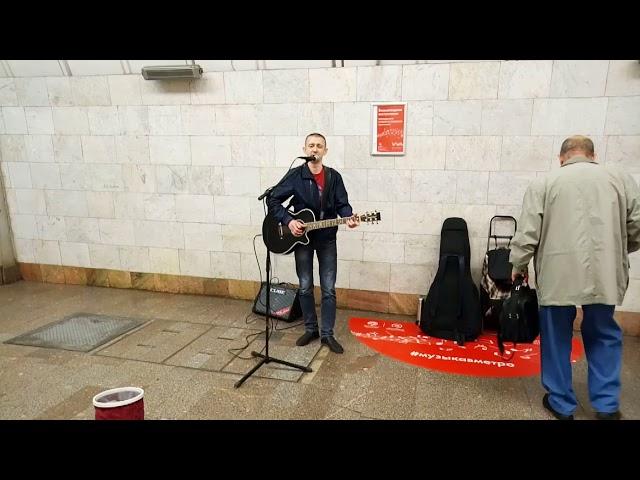 В тени берёз - Дмитрий Татарников