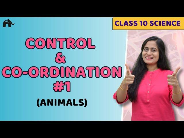 Control And Coordination Class 10  NCERT Chapter 7 #1 | Endocrine , Nervous system in Animals | CBSE