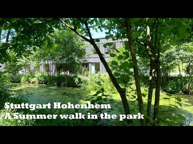 Stuttgart | Germany | Hohenheim University | A Summer walk in the Park.