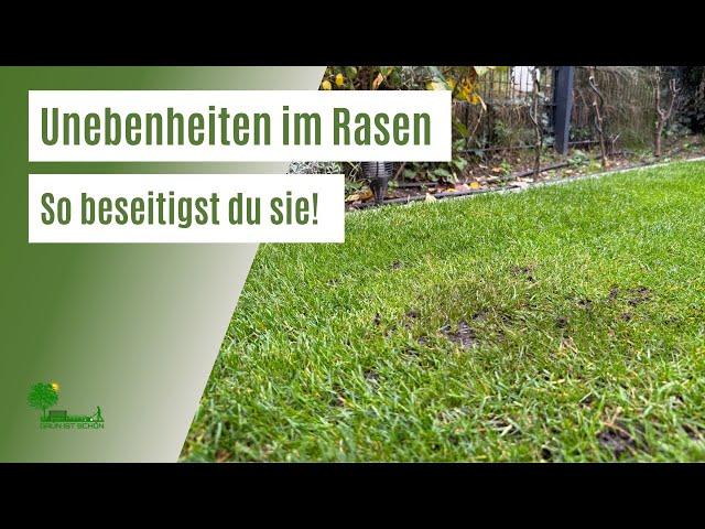 Unebenheiten im Rasen | So beseitigst du Löcher und Hügel im Rasen | Rasen wieder eben machen