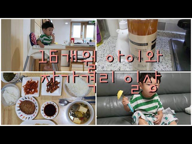 [쭈니네Home] 16개월 아이자가격리 8일차 브이로그