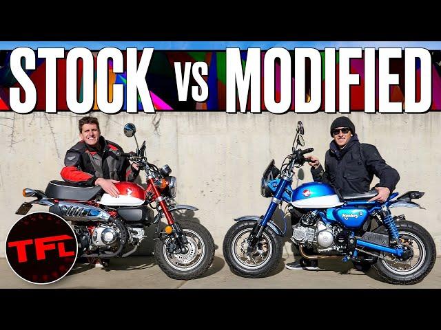 Stock vs Modified - My Honda Monkey Has THOUSANDS In Mods But Is It Better Than The Stock Bike?