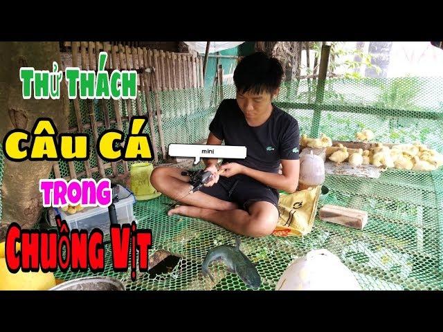 Thóc TV - Thử Thách Câu Cá Trong Chuồng Vịt và Cái Kết ||