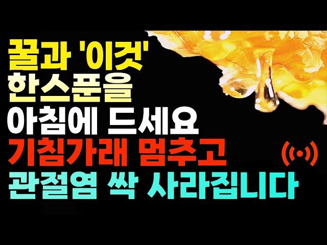 매일 아침 꿀과 '이것' 한스푼  먹으면 관절염, 불면증, 기침가래 싹 사라집니다